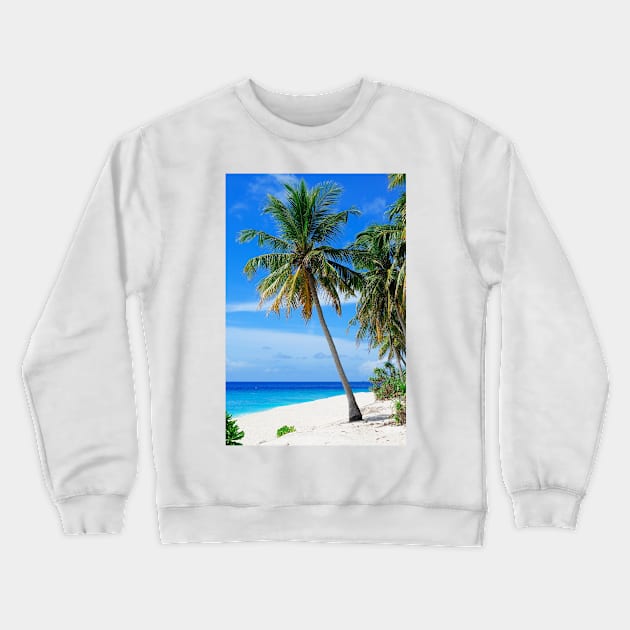 Tropical Palm Trees Crewneck Sweatshirt by NewburyBoutique